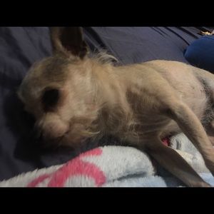 Meet your Posher, Ruby